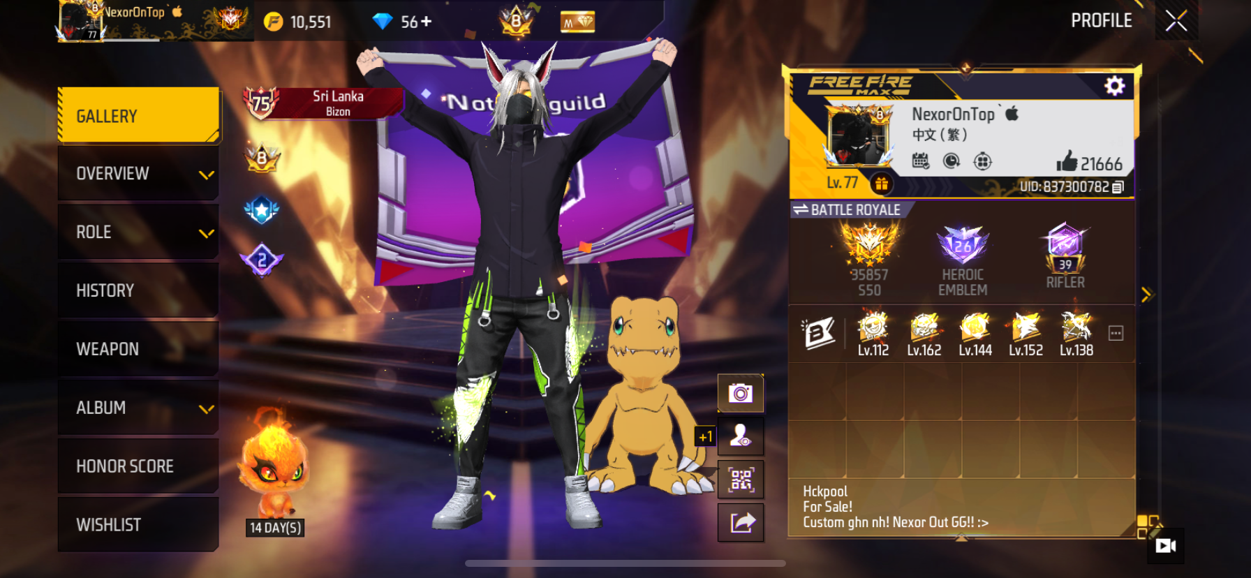 Prime 8 level 77 good collection account